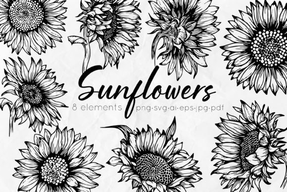 Download Sunflowers Line Art Illustrations - Flow Collection