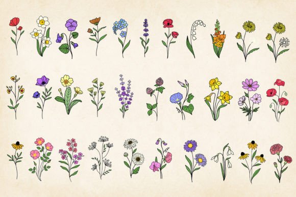 Download Hand-drawn Minimal Wildflowers Bundle - Flow Collection
