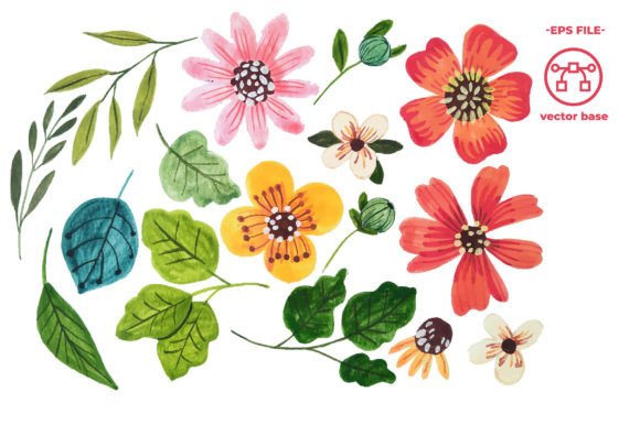 Download Watercolor Flower Elements - Premium Resources