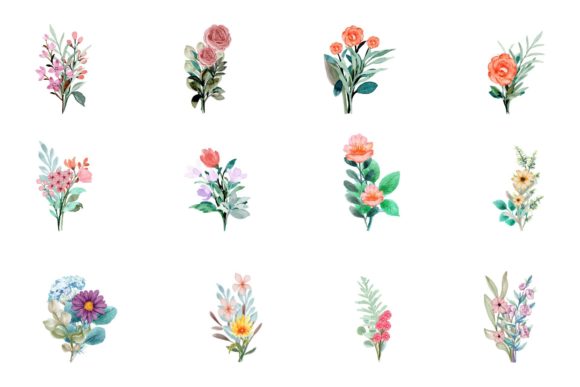 Download Watercolor Flower Elements - Premium Bundle