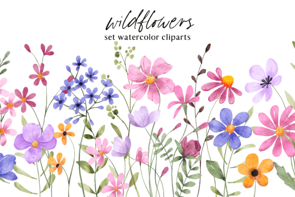 Download Floral Watercolor Set, Flowers, Leaves. - Flow Collection
